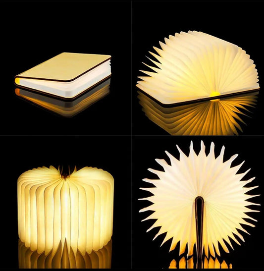 Arion LED Book Lamp: Light Your World